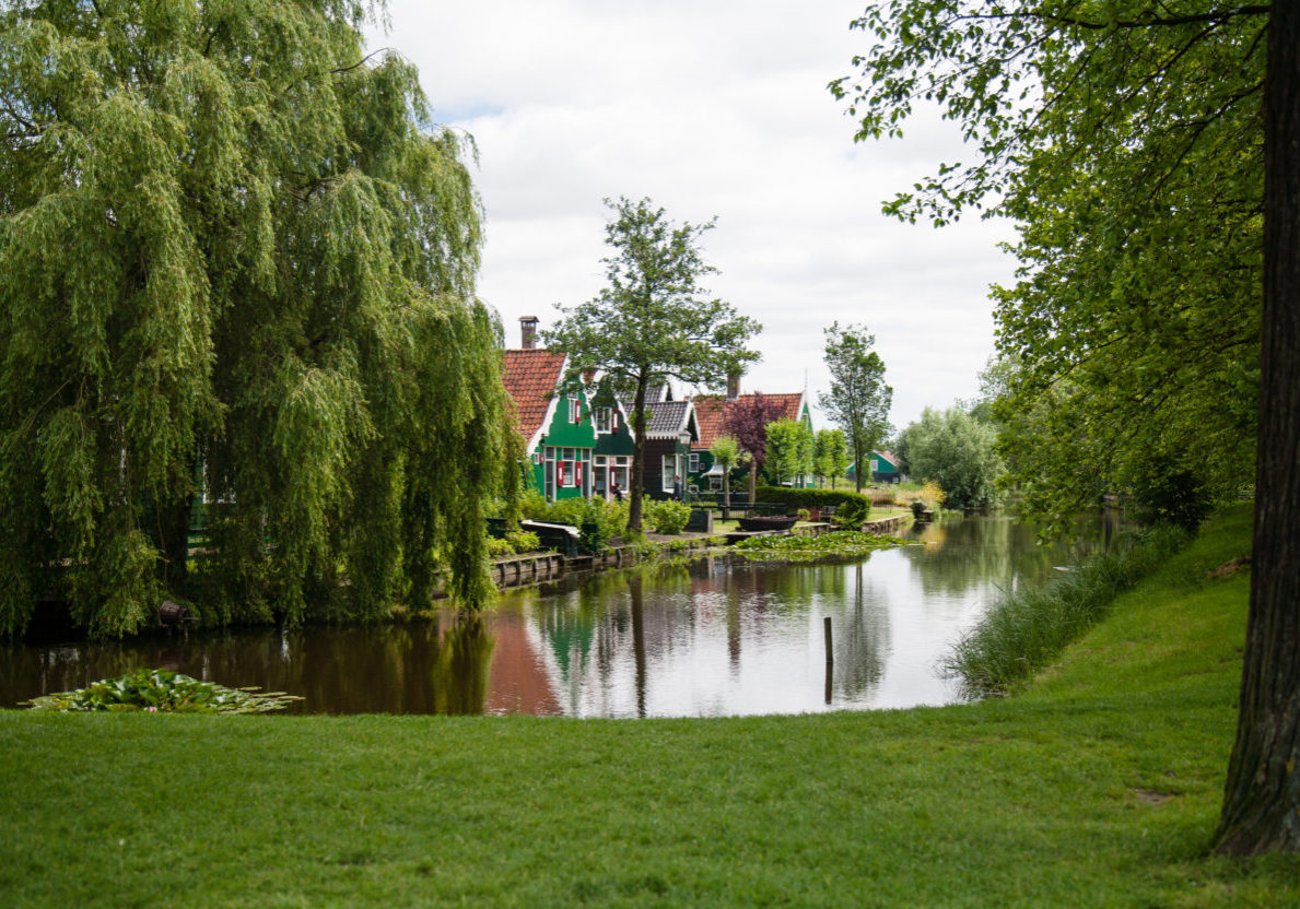 wetlands permit